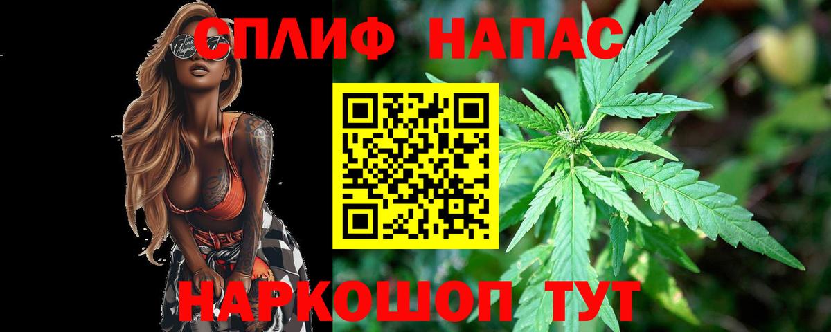 Бошки марихуана AK-47  Конопля MAZAR  Карабулак  Вход с VPN  Марихуана марихуана 